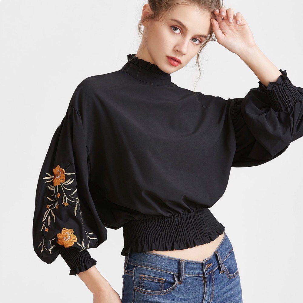 Puffy sleeve blouse